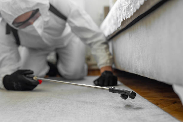 Professional Bed Bug Control technician working in Portsmouth, VA