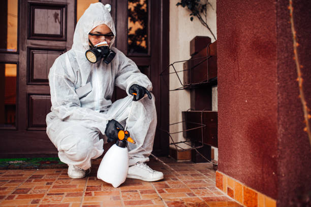 Reliable Bed Bug Control contractor in Portsmouth, VA by Nex Pest Control