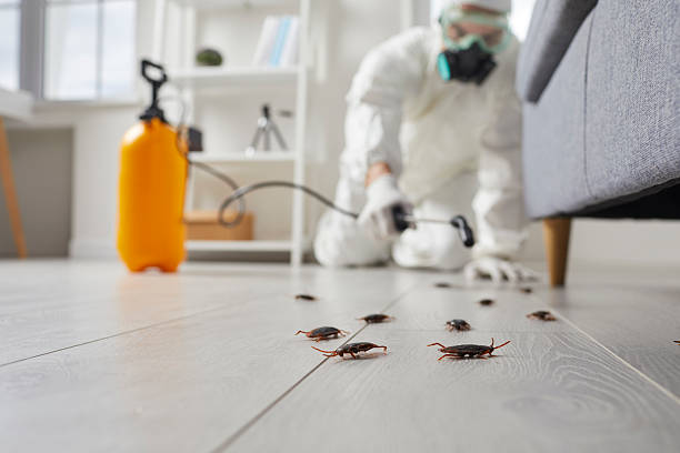 Trusted Rodent Control service in Portsmouth, VA - Nex Pest Control