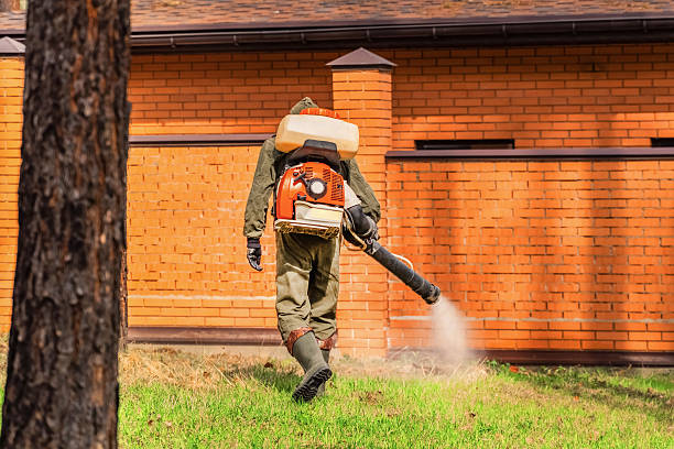 Trusted Termite Control service in Portsmouth, VA - Nex Pest Control